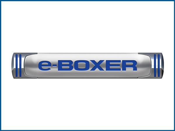 eboxer logga